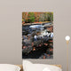 Fall Forest and River Wall Decal