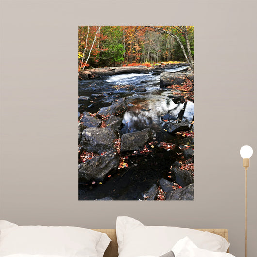 Fall Forest and River Wall Decal