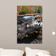 Fall Forest and River Wall Decal