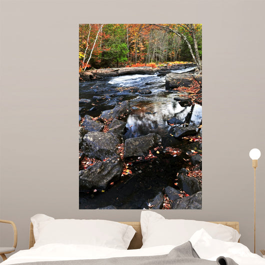 Fall Forest and River Wall Decal