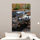 Fall Forest and River Wall Decal