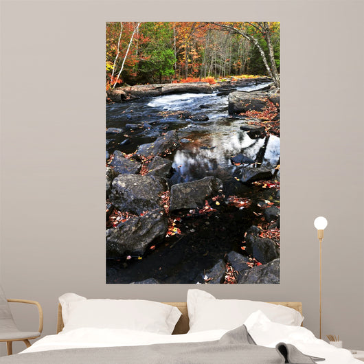 Fall Forest and River Wall Decal