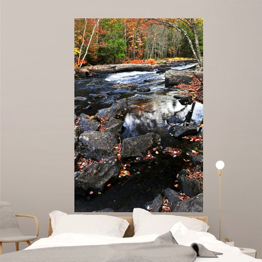 Fall Forest and River Wall Decal
