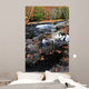 Fall Forest and River Wall Decal