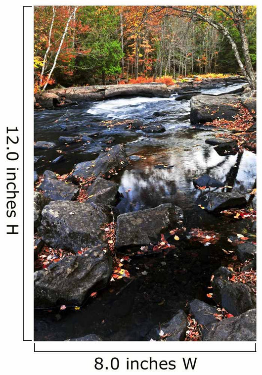 Fall Forest and River Wall Decal