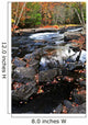 Fall Forest and River Wall Decal