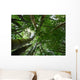 Bamboo Forest Wall Decal Design 4