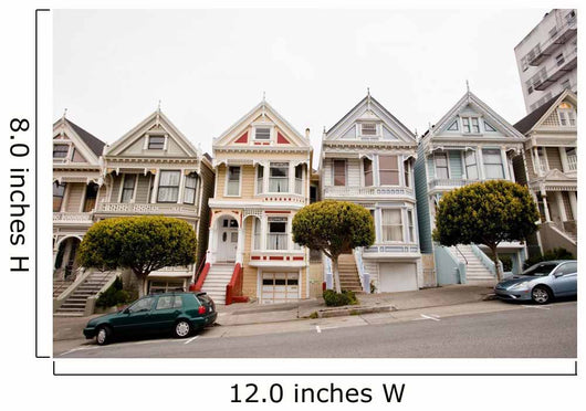 Painted Ladies