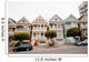 Painted Ladies