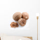 Nutmeg White Wall Decal