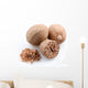 Nutmeg White Wall Decal