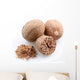 Nutmeg White Wall Decal