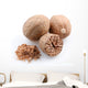 Nutmeg White Wall Decal