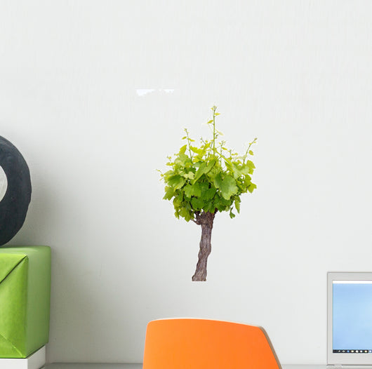 Vine Wall Decal