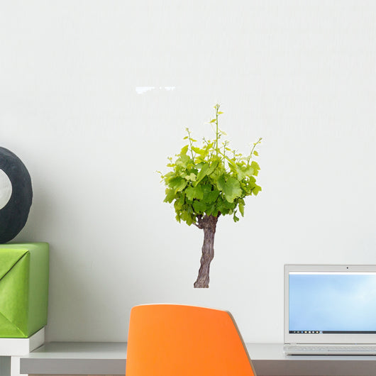 Vine Wall Decal