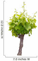 Vine Wall Decal