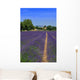 Lavender Wall Decal Design 4