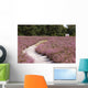 Nature Reserve Quot Sacred Wall Decal