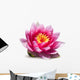 Lotus Flower White Wall Decal