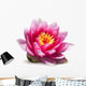 Lotus Flower White Wall Decal
