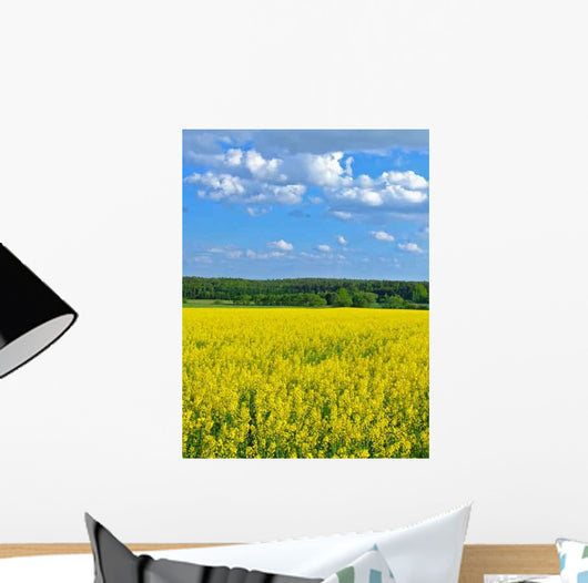 Rape Wall Decal