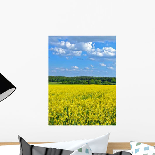 Rape Wall Decal