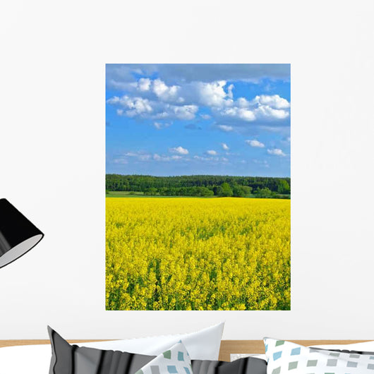 Rape Wall Decal