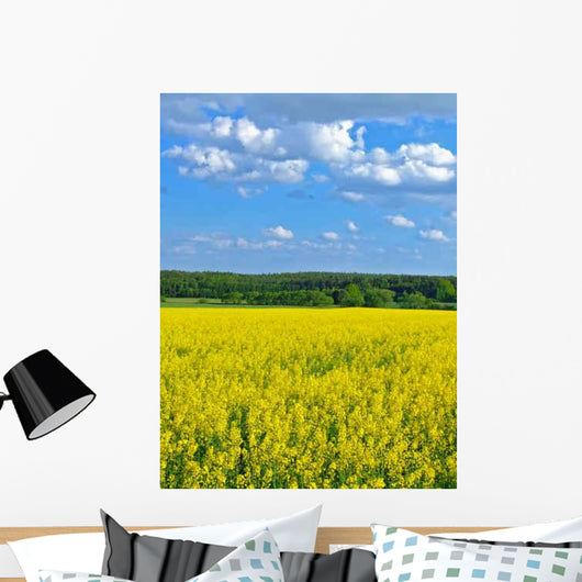 Rape Wall Decal