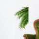 Palm Wall Decal Design 2