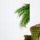 Palm Wall Decal Design 2