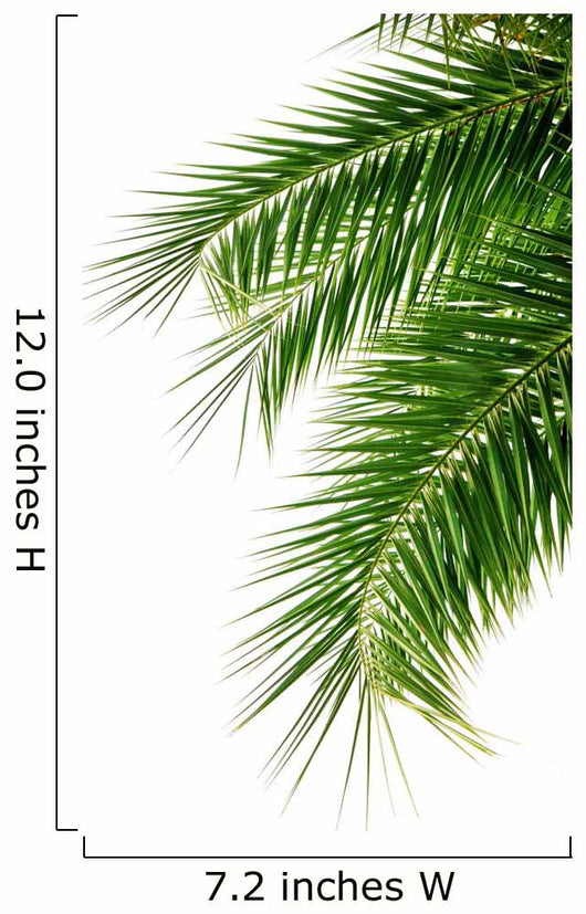 Palm Wall Decal Design 2