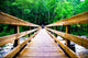 Scary Wooden Bridge Crossing Wall Decal