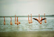 Wading Flamingos Wall Mural