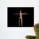 Anatomy Man Wall Decal