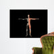 Anatomy Man Wall Decal