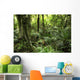 Tropical Forest Wall Decal Design 1