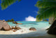 Tropical Beach Wall Decal Design 5