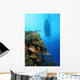 Coral Reef and Fish Wall Decal