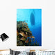 Coral Reef and Fish Wall Decal