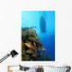 Coral Reef and Fish Wall Decal