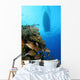 Coral Reef and Fish Wall Decal