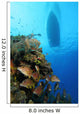 Coral Reef and Fish Wall Decal