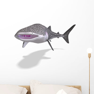 Whale Shark Wall Decal Design 1 shown on a wall