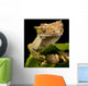 New Caledonian Gecko Wall Decal