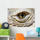 Komodo Dragon Eye Wall Decal
