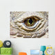 Komodo Dragon Eye Wall Decal