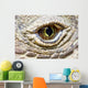 Komodo Dragon Eye Wall Decal