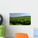 Sugar Beet Field Wall Decal