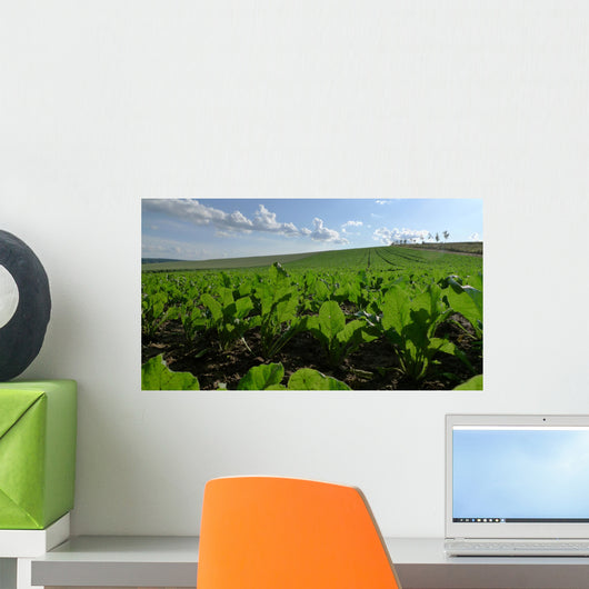 Sugar Beet Field Wall Decal