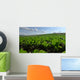 Sugar Beet Field Wall Decal